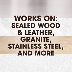 Orange Scented Wood & Furniture Polish Spray, 9.7oz 3Pack for Shine