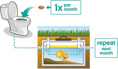 Septic Tank Treatment – 1 Year Supply – 12 Dissolvable Bacteria Packets