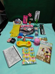Cool Grab Bag of Miscellaneous Treasures NEW Household and Personal Items