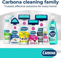 2in1 OxyPowered Carpet Cleaner 13.5 Fl Oz, Spot Cleaner with Dual Sponge & Br…
