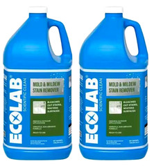 ECOLAB Mold & Mildew Stain Remover, Indoor & Outdoor, Made In USA – 2 Gallon
