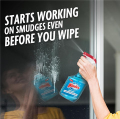 Windex Refill Glass and Window Cleaner Bottle Bottle Made from 100% (Pack of 2