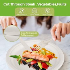 250 PCS Compostable Paper Plates and Utensils Set (EXTRA LONG), White Microwav