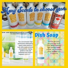 Scentsy DISH SOAP ~ Clean Smell ~ Full Sz Scented VerySnowy Spruce Citrus Grotto