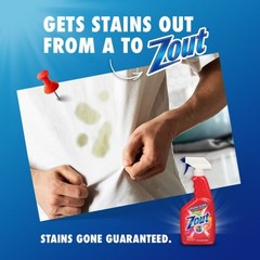 Zout Stain Remover – Effective on Tough and Set-In Stains – 22oz
