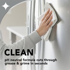 Weiman Stainless Steel Cleaner & Polish, 2 Pack, 24 Fl Oz (Pack of 1), 2 Pack