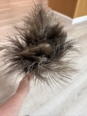 Feather Duster Cleaning Tool Ostrich Feathers Texas Feathers Vintage Wood