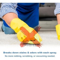Instant Carpet Stain Remover No Scrub Aerosol Safe Pet Oil Wine Juice 14oz New