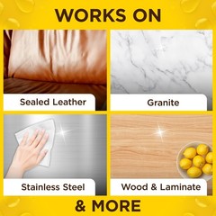Pledge Expert Care Enhancing Wood 24 Count (Pack of 1), stainless steel