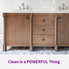 Rejuvenate Cabinet And Furniture Cleaner Removes Dirt, Grime And Grease, 24oz ..