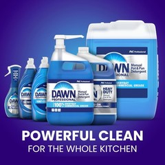 Dawn PRO Manual Pot and Pan Detergent, Dish Soap Liquid for Dishwas 1Gal -2pack