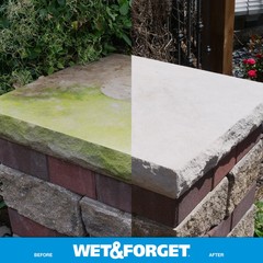 Wet & Forget Outdoor Cleaner – Ready-to-Use for Moss, Mold, Mildew & Algae