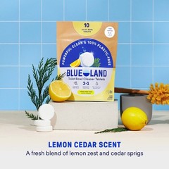 Lemon Cedar Toilet Bowl Cleaning Tablets – 8.4oz/10ct: Hypoallergenic