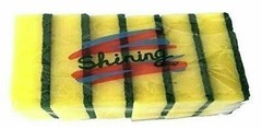 6 Pcs Per Pack Shining Non-Scratch Kitchen Sponge Scrubber Sponges Dish Washing