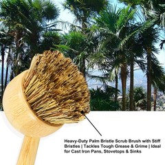 2 Pack Natural Kitchen Dish Brushes with Sisal & Palm Bristles, Long Bamboo H…