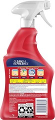 Powerful Upholstery Cleaner & Stain Remover – 22 fl oz Chlorine-Free Formula