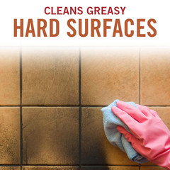 Wall Wash with Biosolv Multipurpose Degreaser for Walls and Smoke Damage Hard Su