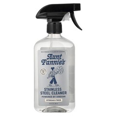 Stainless Steel Cleaner, 16.9 fl oz (500 ml)