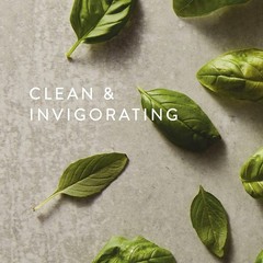 Countertop Spray – Counter Cleaner Spray – Household Cleaning Supplies Fresh-…