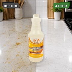 Eco Cln Citrus All-Purpose Cleaner Concentrate 32 oz 3-Pack
