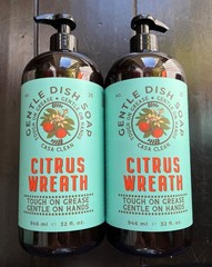 2x Pack CASA CLEAN Citrus Wreath DISH SOAP Tough On Grease Gentle Hands 32oz NEW