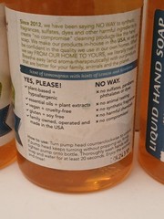 THREE Flower Power Lemongrass Vegan Hypoallergenic Liquid Hand Soaps 12 oz Each