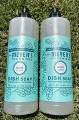 (2) Mrs Meyers Dish Soap New Limited Edition Mint Scent FAST Ship