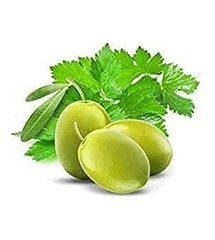Fruits & Passion [Cucina] – Coriander & Olive Tree Dish Soap Refill, All