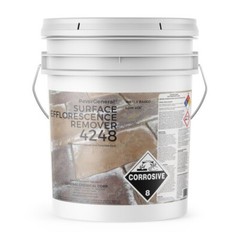 PaverGeneral Surface Efflorescence Remover 4248 – Remove Stains from Brick – 5 G
