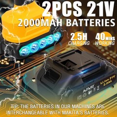 Cordless Car Buffer Polisher, 2x2000mAh 21V Batteries 5 Inch Random Orbital