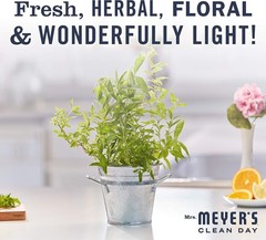 Mrs. Meyer’s Clean Day Lemon Verbena Liquid Dish Soap Cruelty Free