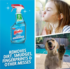 Windex Refill Glass and Window Cleaner Bottle Bottle Made from 100% (Pack of 2