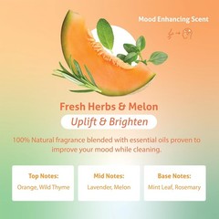 Plant Based Dish Soap Liquid – Fresh Herbs & Melon fl 16 oz – Non Toxic All