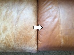 HOWARD Couches Shoes Auto Interior Smooth Leather Conditioner & Protector 8oz