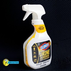 CLOROX Urine Remover for Stains and Odors Spray