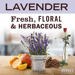 Mrs. Meyer’s Clean Day Liquid Toilet Bowl Cleaner, Stain Removing, Lavender 24oz