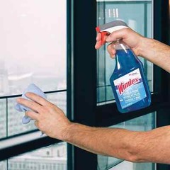 Windex Glass Cleaner with Ammonia-D Trigger