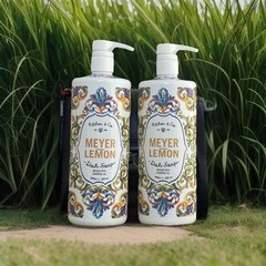 Kitchen & Co Meyer Lemon Dish Soap Essential Oils 32oz Pump Large Lot of 2 Decor