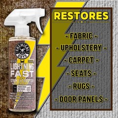 Lightning Fast Carpet & Upholstery Stain Extractor, 16 oz