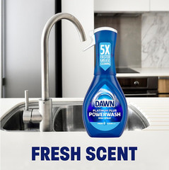 Platinum Powerwash Dish Spray, Dish Soap Liquid, Fresh Scent Bundle, 1 Spray (16