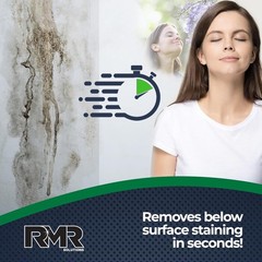 Instant RMR-86 Mold & Mildew Remover Spray – 32 Oz (Pack of 2), No Scrubbing