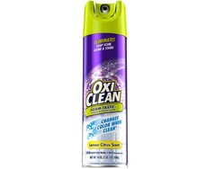 Citrus Scent Foam Bathroom Cleaner 19 oz (2-Pack) – Erase Soap Scum Effortlessly