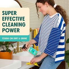 Whole Home Cleaning Bundle: All Purpose Spray, Floor Cleaner, Glass & Window …
