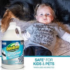 OdoBan 4Gal. Tile& Grout Floor Cleaner (Ready-to-Use) tough soils, dirt grime