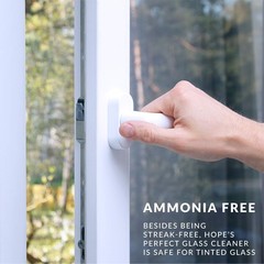 Perfect Glass Cleaner Spray, Streak-, Ammonia-Window, Mirror, Screen, Tinted …