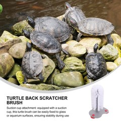 Cup Washing for Turtle Reptile Supplies Pet