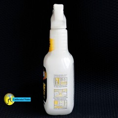 CLOROX Urine Remover for Stains and Odors Spray