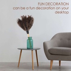 1-5pcs Ostrich Feather Duster Durable Dust Collecting Cleaning Tool In Wool Shop