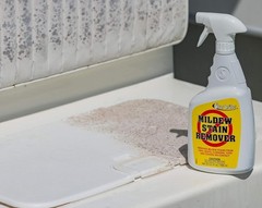 Mildew & Mold Stain Remover Cleaner 22oz Marine Vinyl Plastic Upholstery Outd…