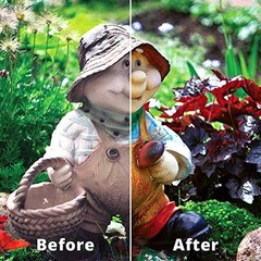 Outdoor Color Restorer Instantly Restores Faded Sun-damaged And Oxidi